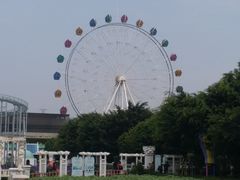 -百万葵园