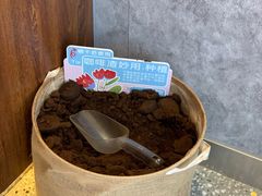 -幸运咖(公园茂直营店)