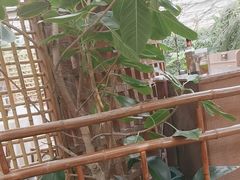 -金稼园·金平湖农家菜
