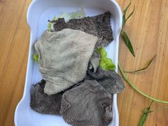 -官塘兄弟·潮汕牛肉店(官塘总店)