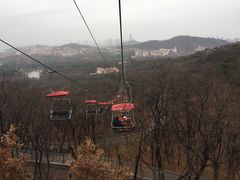 -青岛中山公园-索道售票处