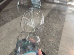 -米兰-马尔彭萨机场