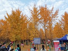 -汉景帝阳陵博物院