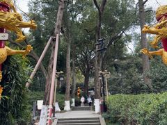 -杭州黄龙洞