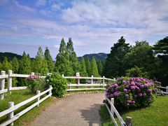 -神户市立六甲山牧场