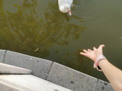 -丰台花园