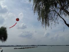 -漕湖湿地公园