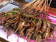 -晓靖轩烧烤(沙河风情店)