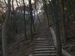 -灵顺寺