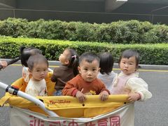 -菲司迪托育园(蛇口店)