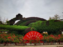 -金银湖国家城市湿地公园