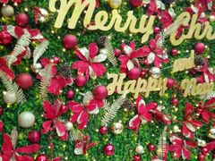 -上海世茂广场(南京东路店)