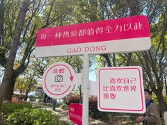 -高东镇樱花园