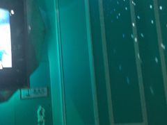 -米乐星世界KTV