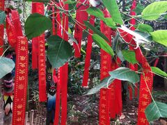 -北京呀路古热带植物园