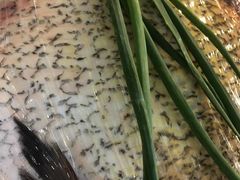 -禧福楼·十五年老店(科技城店)