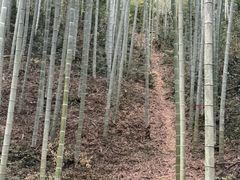 -黄公望隐居地