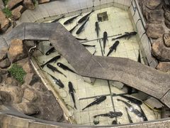 -春盛渔府(江宁开发区店)