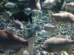 -成都浩海立方海洋公园