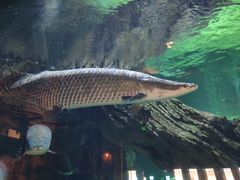 -华夏文旅海洋公园