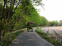 -桤木河湿地公园