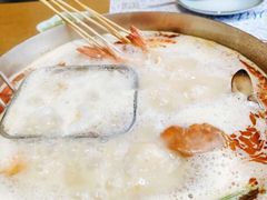 -海桐