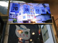-猫咪博物馆(顶澳仔猫街店)