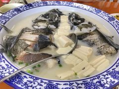 浓汤鱼头-全乐鱼馆·淳牌有机鱼直营店