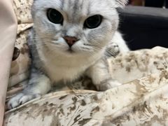 -悠米私人影院(街道口店)