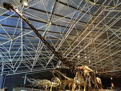 -世界恐龙谷景区