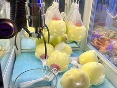 -星舰梦航(广百广场荔胜店)