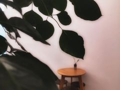 -尤加利咖啡馆