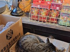 -正阳书局(西四南大街店)