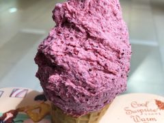 -野人先生现做冰淇淋(北京环宇荟店)