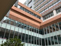-香港大学