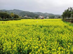 -红山村