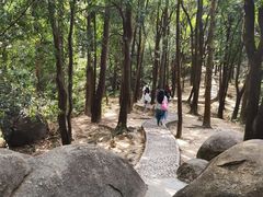 -火炉山森林公园