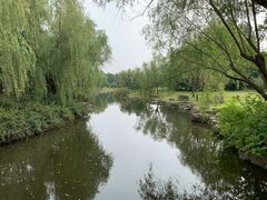 -上海滨江森林公园