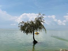 -捞渔河湿地公园