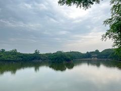 -江心屿景区