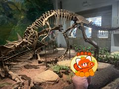 -自贡恐龙博物馆