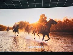 -SFC上影影城(港汇永华IMAX激光店)