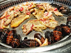 -鼎盛江山美食自助(欢乐城店)