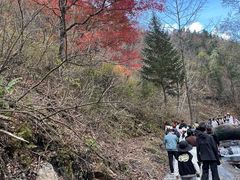 -凤凰山国家森林公园