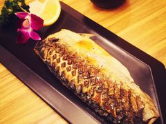 -一本钓鲔鱼屋