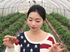 -小鱼草莓采摘园农家乐·小鱼餐厅