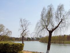 -七桥瓮公园