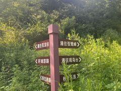 -驼梁风景区