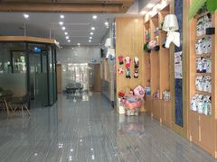 -瑞派名望志远动物医院·猫科·內科·异宠专科(直港大道店)