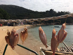 -蒲台岛